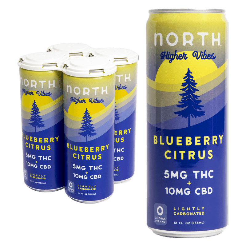North Higher Vibes 5mg Blueberry 4pk Can 12oz