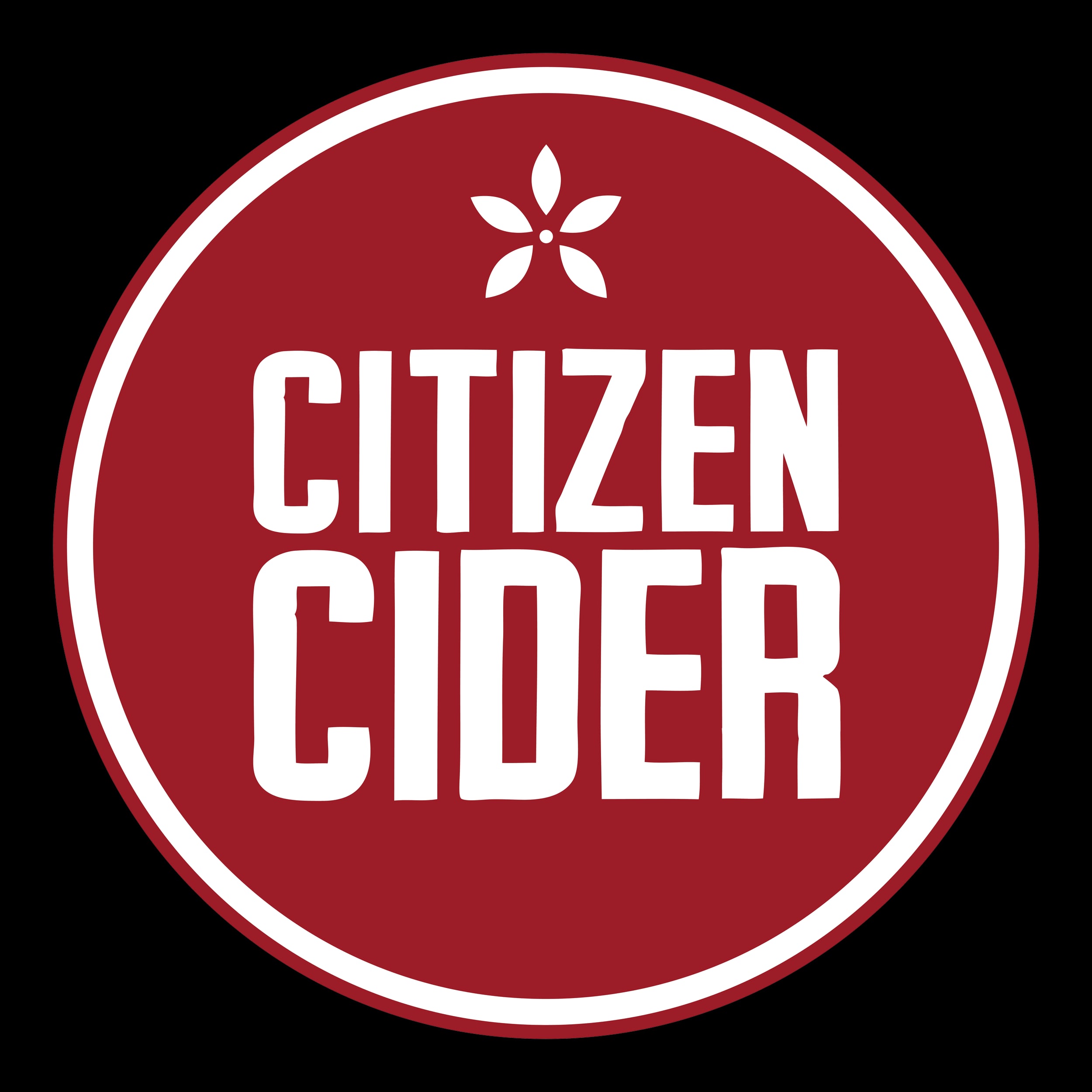Citizen Cider Cider Donut 4pk Can 16oz