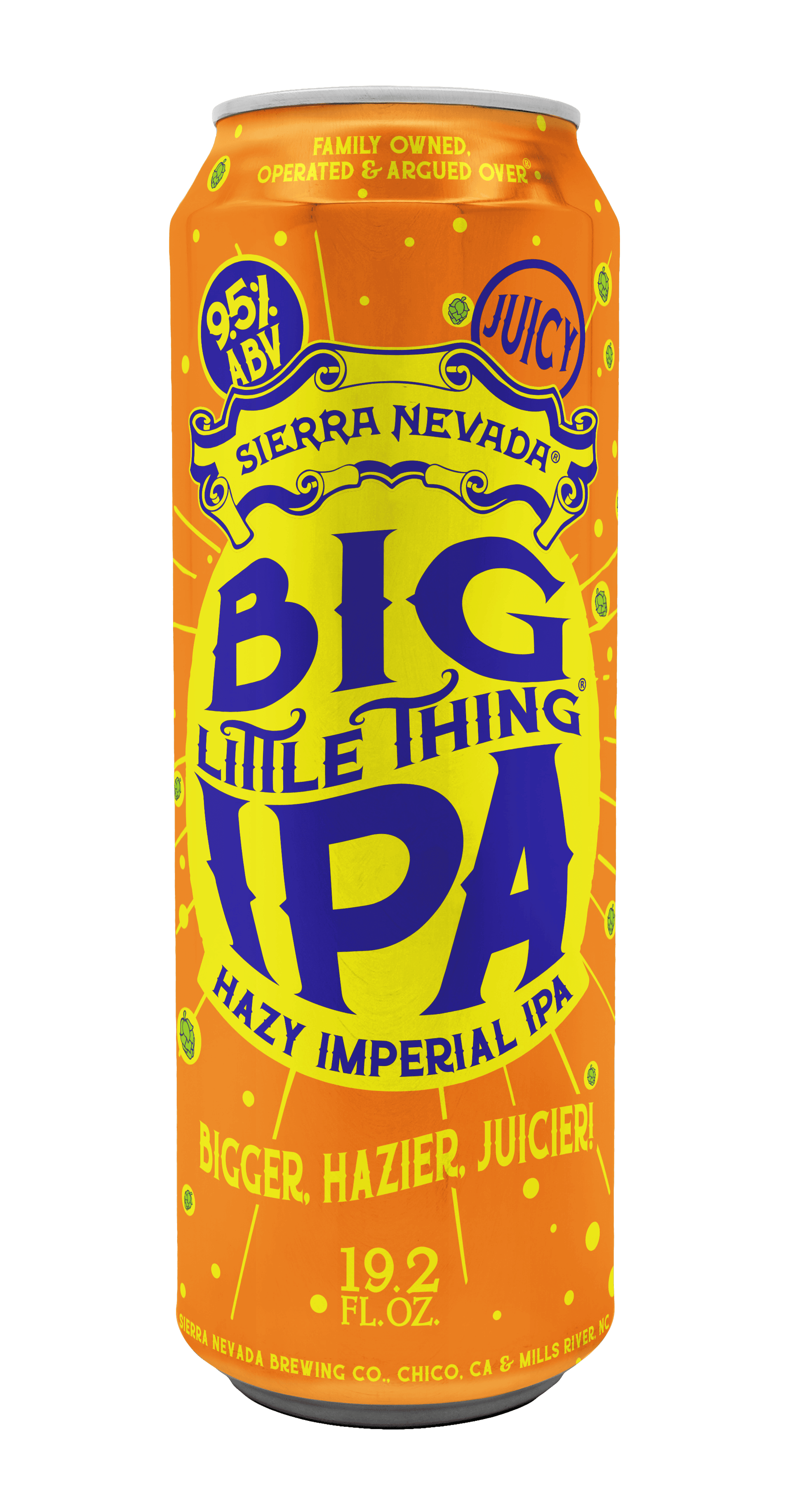 Sierra Nevada Big Little Thing Can 19oz