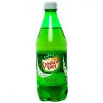 Canada Dry Ginger Ale 2020