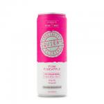 Squire's 5mg Pink Pineapple (4 pack 12oz cans) 0