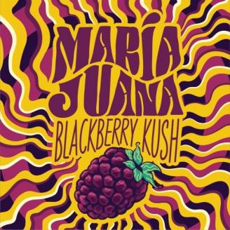 Weldwerks Maria Juana Blackberry Kush (4 pack 16oz cans) (4 pack 16oz cans)
