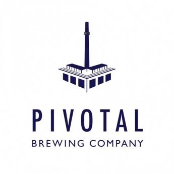 Pivotal Brewing You Enjoy Enjoy Coffee Porter (4 pack 16oz cans) (4 pack 16oz cans)